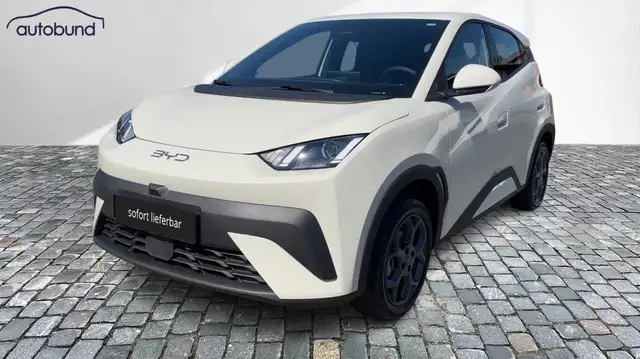 BYD Dolphin Boost Alarm Alu DAB Keyless Klima Nav