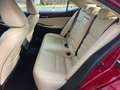 Lexus IS 300 h Executive Navi Schiebedach Rojo - thumbnail 7
