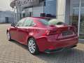 Lexus IS 300 h Executive Navi Schiebedach Rojo - thumbnail 4