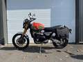 Triumph Scrambler Orange - thumbnail 1