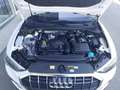 Audi Q3 35 TFSI S-tronic advanced Weiß - thumbnail 19