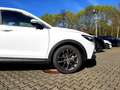 DFSK Fengon 5 1.5T CVT Automatik LED NAVI PANO Білий - thumbnail 15
