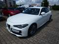 Alfa Romeo Giulia Super 2.0 Turbo 16V (200 PS) AT8 Blanco - thumbnail 1