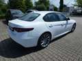 Alfa Romeo Giulia Super 2.0 Turbo 16V (200 PS) AT8 Blanco - thumbnail 4