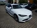Alfa Romeo Giulia Super 2.0 Turbo 16V (200 PS) AT8 Blanco - thumbnail 3