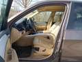 BMW X5 xDrive30d *Standheizung *Scheckheft *360 Kamera Marrón - thumbnail 10