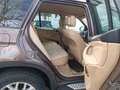 BMW X5 xDrive30d *Standheizung *Scheckheft *360 Kamera Marrón - thumbnail 13