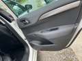 Citroen C4 C4 PureTech 110 Executive Executive Weiß - thumbnail 23