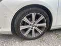 Citroen C4 C4 PureTech 110 Executive Executive Weiß - thumbnail 5