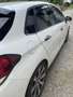 Citroen C4 C4 PureTech 110 Executive Executive Weiß - thumbnail 2