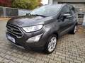 Ford EcoSport Titanium,LED.Navi.KeyFree.Kamera.PDC Grau - thumbnail 1