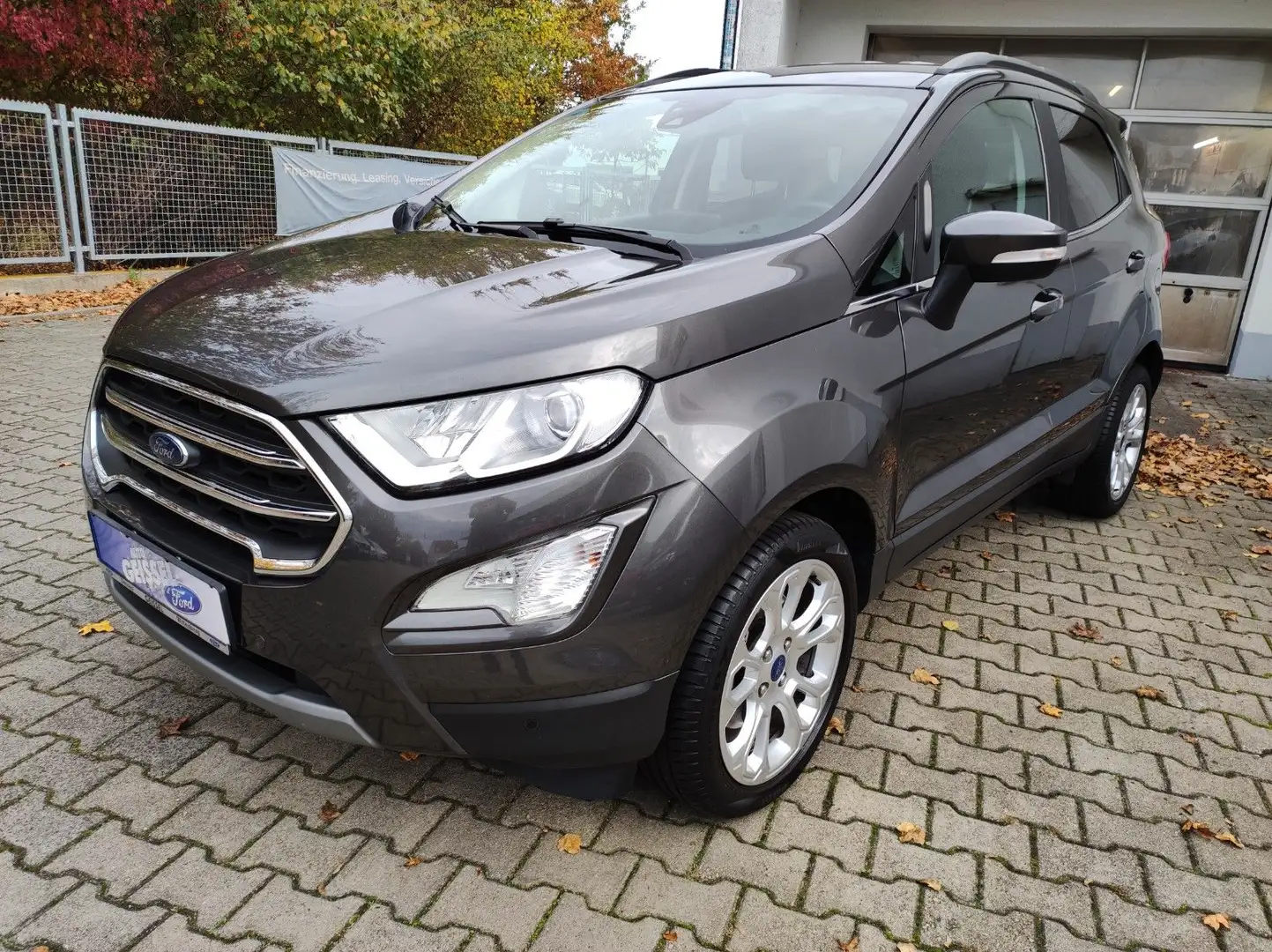Ford EcoSport Titanium,LED.Navi.KeyFree.Kamera.PDC Grau - 1