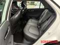 Kia Niro EV Vision 3-Phasen-Lader Wärmepumpe  Navi ACC Temp White - thumbnail 15