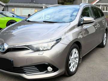 Auris