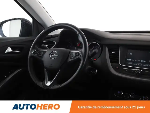 Opel Grandland X view 13