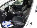 Mercedes-Benz GLC 220 d MHEV COUPE'ADVANCED 4 MATIC,LED,CERCHI 18,AZIEND Blanc - thumbnail 24