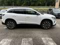 Renault Austral Mild Hybrid 140 Techno Weiß - thumbnail 2