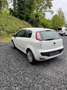 Fiat Punto Evo 1.2 8V Dynamic bijela - thumbnail 3