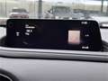 Mazda CX-30 e-Skyactive G140 Exclusive-Line KURZZULASSUN Grau - thumbnail 15
