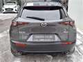 Mazda CX-30 e-Skyactive G140 Exclusive-Line KURZZULASSUN Grau - thumbnail 6