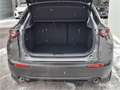 Mazda CX-30 e-Skyactive G140 Exclusive-Line KURZZULASSUN Grau - thumbnail 19