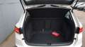 SEAT Ateca 2.0 TDI Style DSG Navi+/ACC/K-less/Bing Weiß - thumbnail 18