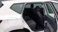 SEAT Ateca 2.0 TDI Style DSG Navi+/ACC/K-less/Bing Weiß - thumbnail 8