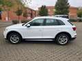 Audi Q5 2.0TDI quattro S tronic Advanced 150kW Blanco - thumbnail 6