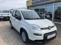 Fiat Panda MY24 1.0 Klima PDC Citypaket Weiß - thumbnail 2