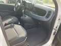 Fiat Panda MY24 1.0 Klima PDC Citypaket Weiß - thumbnail 7