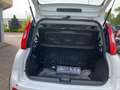 Fiat Panda MY24 1.0 Klima PDC Citypaket Weiß - thumbnail 5
