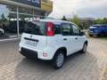 Fiat Panda MY24 1.0 Klima PDC Citypaket Weiß - thumbnail 3