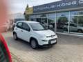 Fiat Panda MY24 1.0 Klima PDC Citypaket Weiß - thumbnail 1