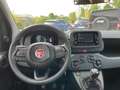 Fiat Panda MY24 1.0 Klima PDC Citypaket Weiß - thumbnail 9