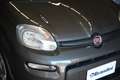Fiat New Panda 1.0 FireFly Hybrid Grigio - thumbnail 4