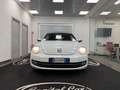Volkswagen New Beetle New Beetle Cabrio 1.9 tdi 105cv Blanc - thumbnail 4