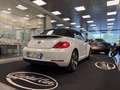 Volkswagen New Beetle New Beetle Cabrio 1.9 tdi 105cv Blanc - thumbnail 6