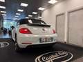 Volkswagen New Beetle New Beetle Cabrio 1.9 tdi 105cv Blanc - thumbnail 15
