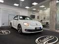 Volkswagen New Beetle New Beetle Cabrio 1.9 tdi 105cv Blanc - thumbnail 3