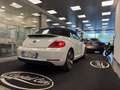 Volkswagen New Beetle New Beetle Cabrio 1.9 tdi 105cv Blanc - thumbnail 13