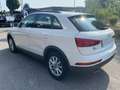 Audi Q3 Q3 2.0 tdi Business 150cv Blanc - thumbnail 5