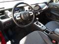 Honda Jazz executive EXecutive aut 1.5 e:HEV eerste eigenaar Rood - thumbnail 5