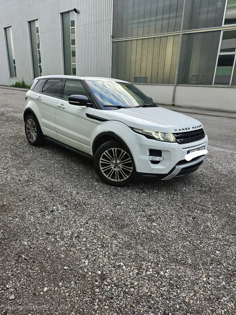 Land Rover Range Rover Evoque SD4 Aut. Dynamic Weiß - 1