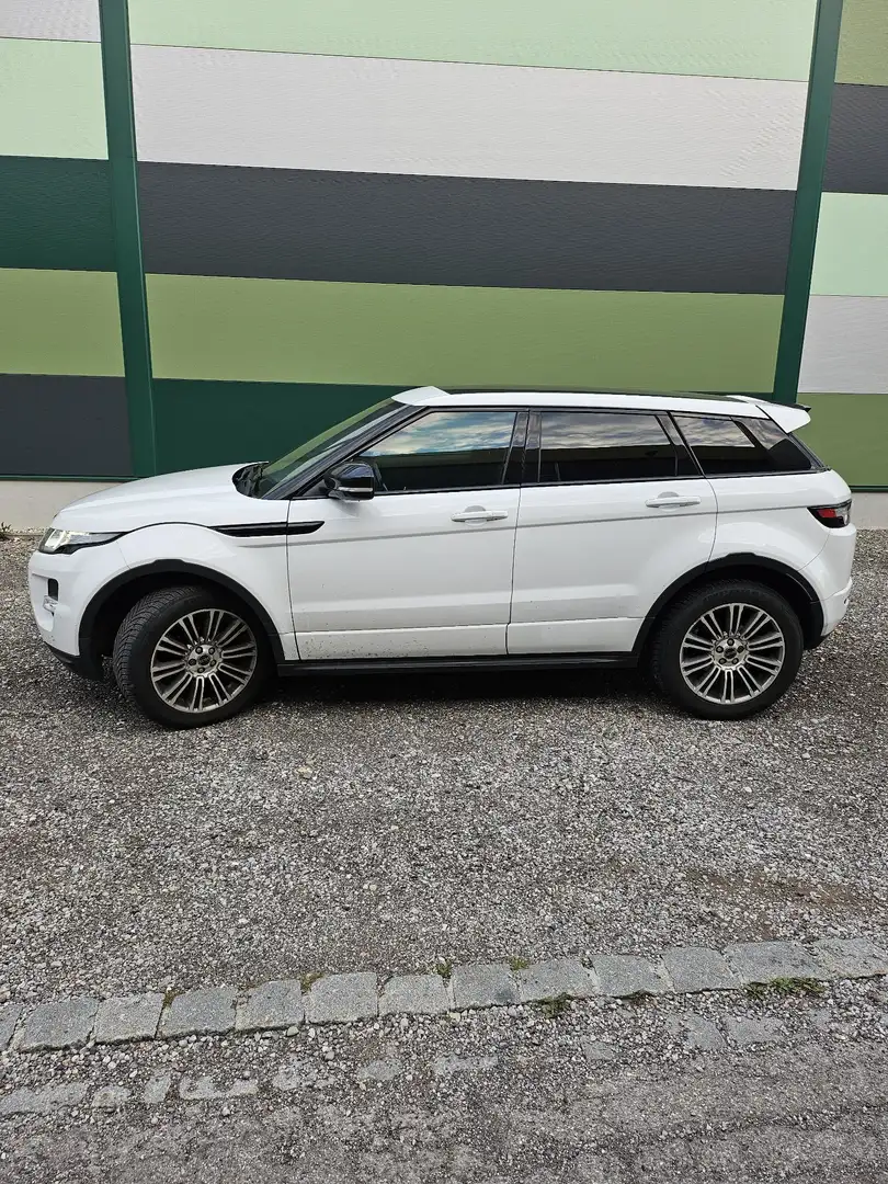 Land Rover Range Rover Evoque SD4 Aut. Dynamic Weiß - 2