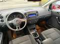 Volkswagen Golf Plus Comfortline BMT 1,6 TDI DPF/WENIG KM/GEPFLEGT/ Rot - thumbnail 7