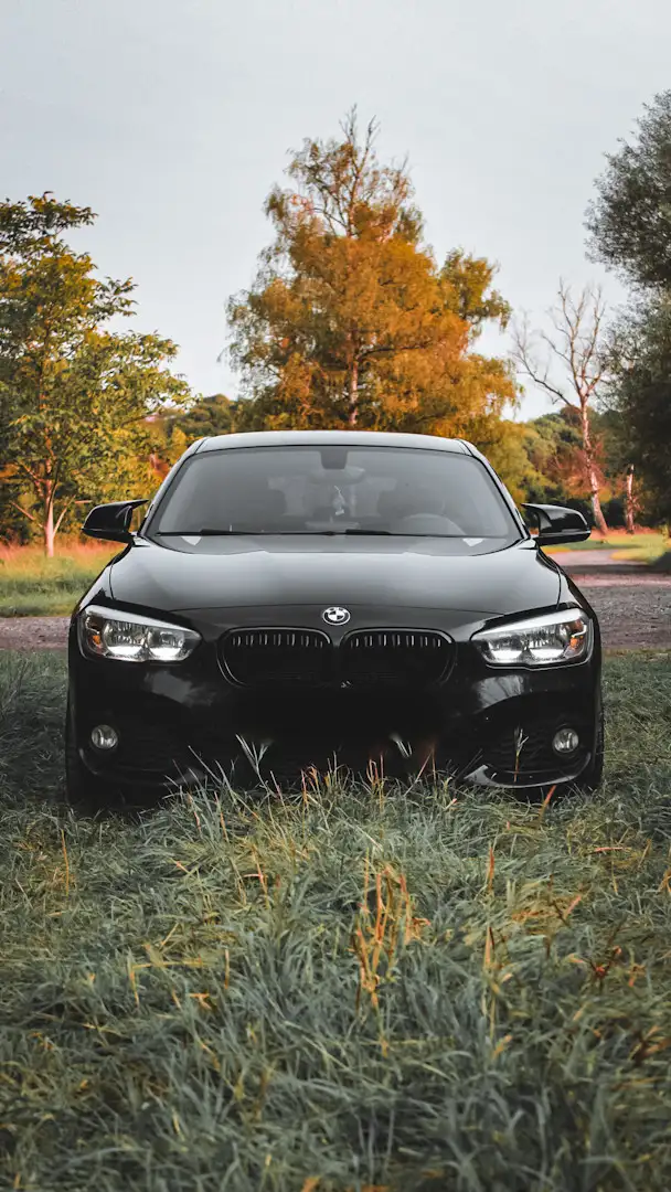 BMW 116 d EfficientDynamics Edition - 2