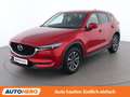 Mazda CX-5 2.2 Turbodiesel Revolution AWD Rot - thumbnail 1
