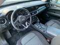 Alfa Romeo Stelvio Stelvio 2.2 t Q4 210cv auto*Navigatore*Fari Led*18 Grijs - thumbnail 7