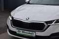 Skoda Octavia 1.5 TSI ACT Hybrid Ambition OPF Weiß - thumbnail 12
