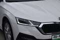 Skoda Octavia 1.5 TSI ACT Hybrid Ambition OPF Weiß - thumbnail 11